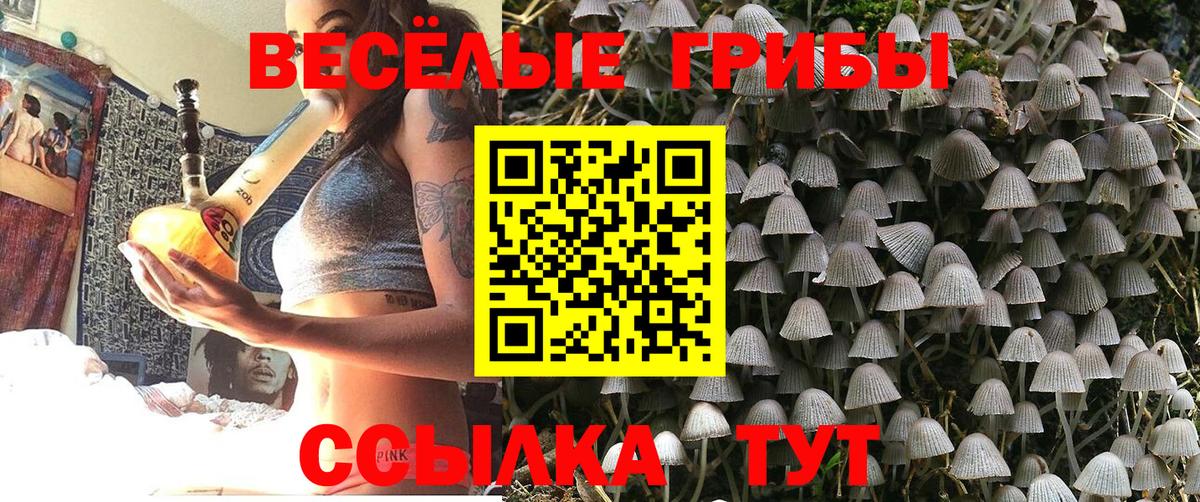 Псилоцибиновые грибы мухоморы  Псилоцибиновые грибы Psilocybe  наркошоп  Вход с VPN  Урюпинск 